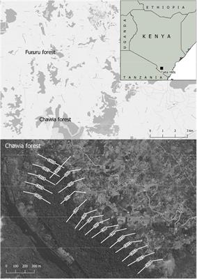 Biodiversity and Ecosystem Functions Across an Afro-Tropical Forest Biodiversity Hotspot